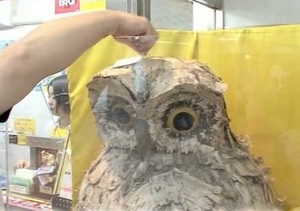 フクロウの頭に宝くじをこすると当たる!?