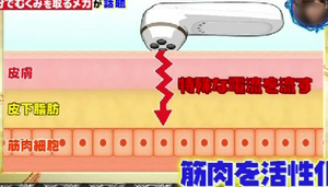 セルキュア4t@