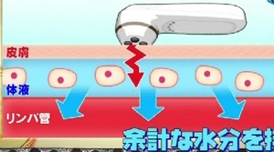 セルキュア4tA