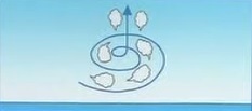 台風のしくみA