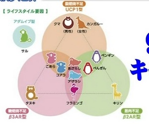 遺伝子解析ダイエット