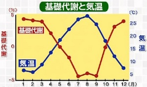 冬の方が代謝が上がる!?