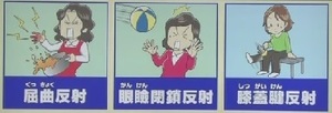 様々な反射