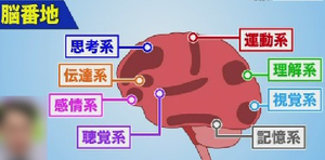 8つの脳番地